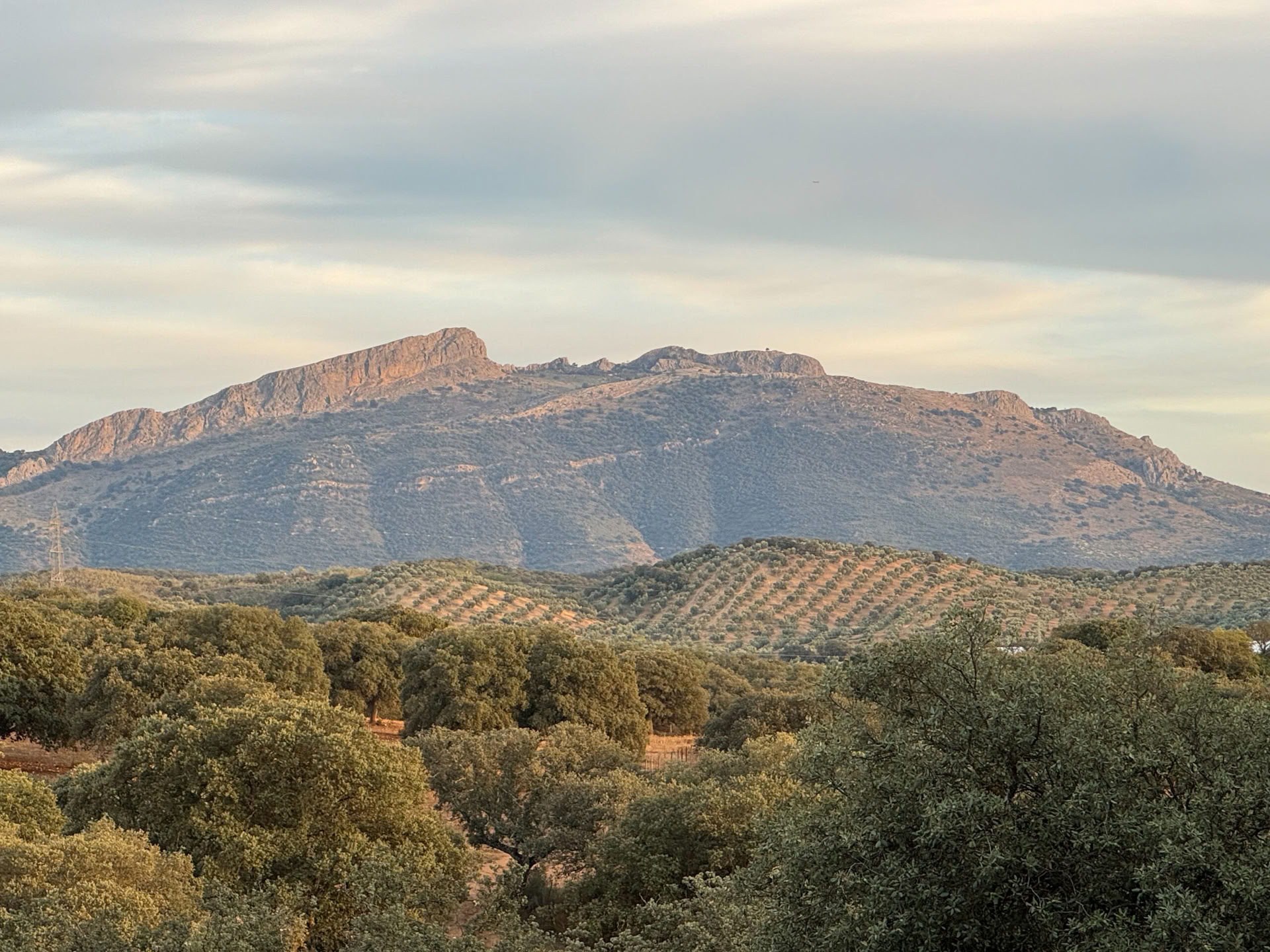 Huur Finca La Lola