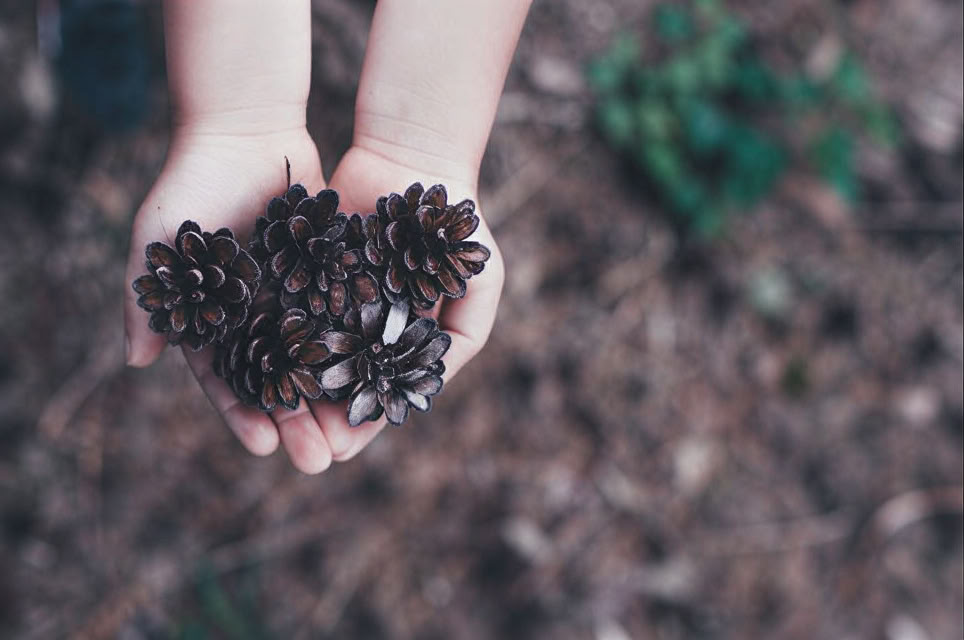 Winterwelnessretreat - Cotswolds