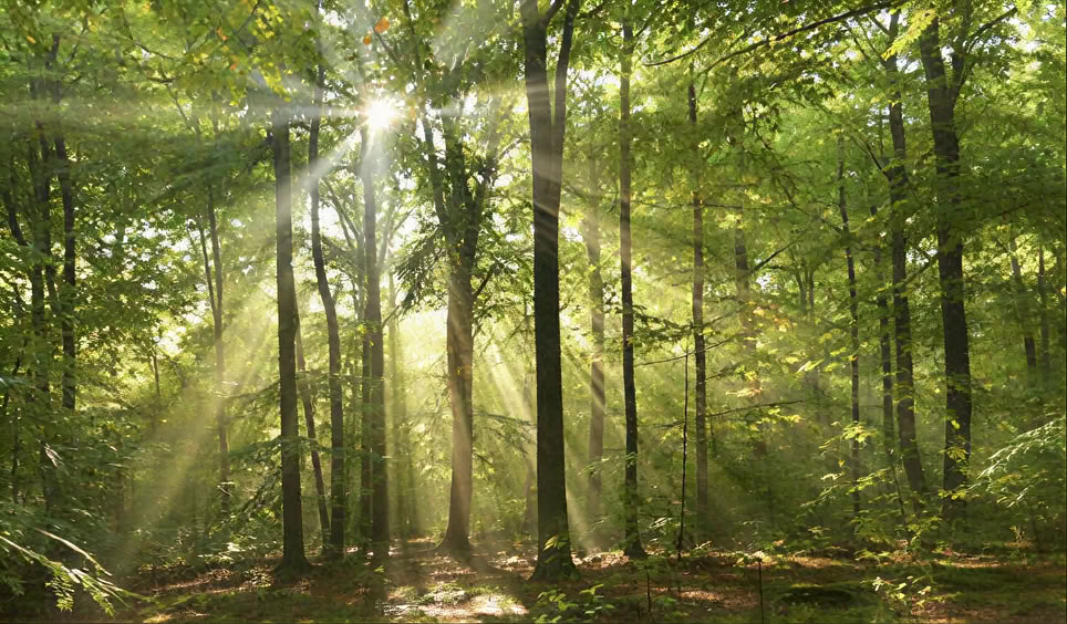 Vollemaanvieringen & Nieuwemaanrituelen