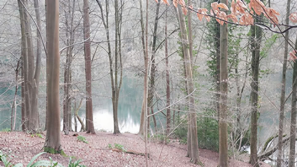 Ontwaak Je Creatieve Zelf - 1-daagse Zaterdagretreat