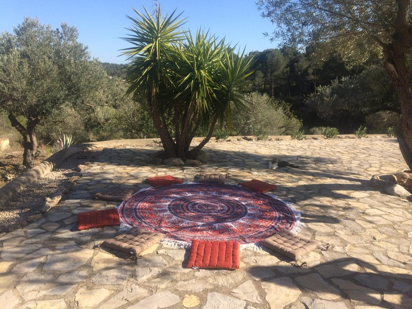 Yoga- en diepe rustmeditatieretraite
