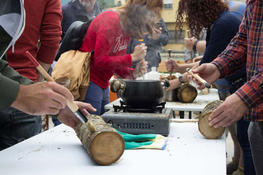 Shiitakekweekcursus in Navarra