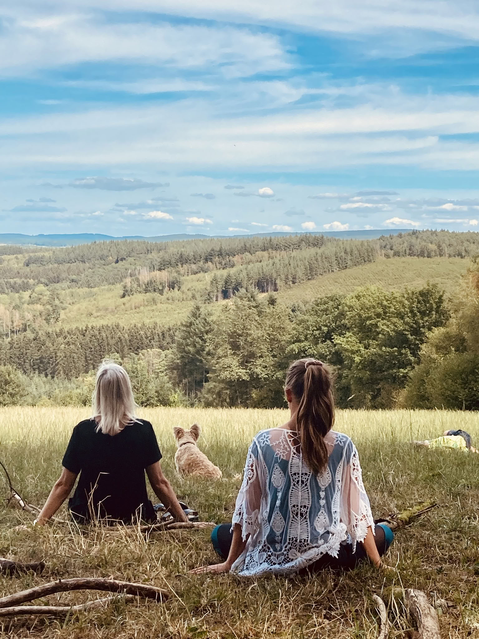 Kruiden- en plantentraject 2027 – De natuur als medicijn