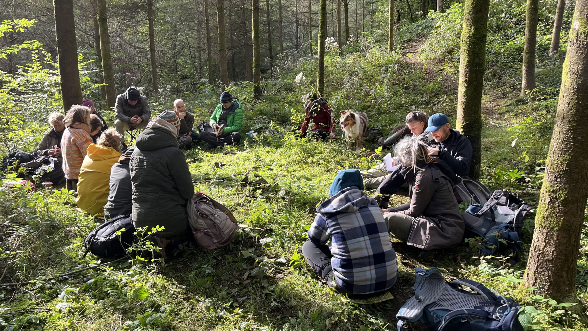 Mirroring-training voor natuurbegeleiders en coaches – 22 tot 25 oktober 2026 – LAATSTE 2 PLEKKEN