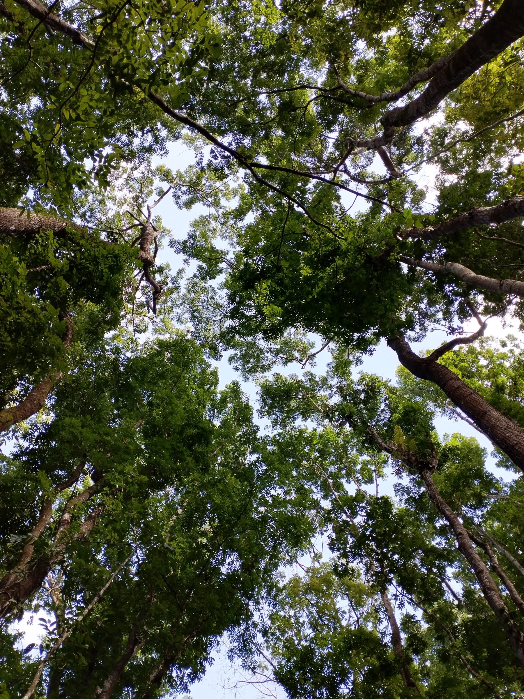 5 dagen & 4 nachten mindfulnessreis