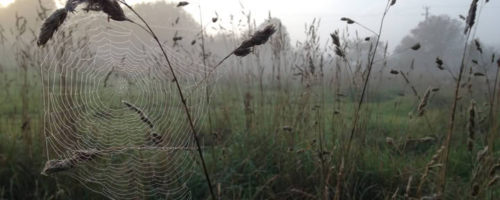 Retraite in het veld voor leraren