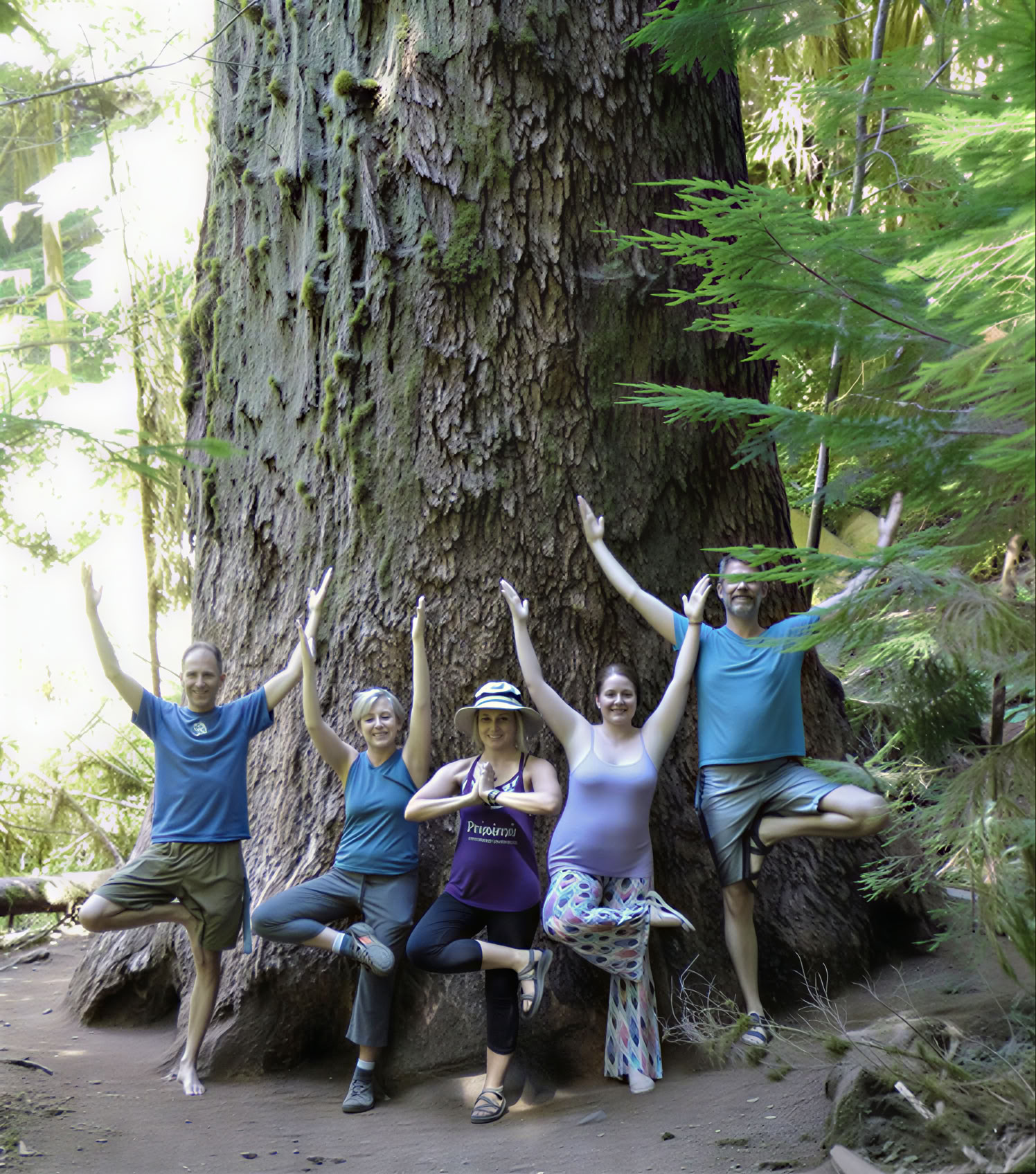 Retraite voor bos- en strandbaden in Olympic National Park