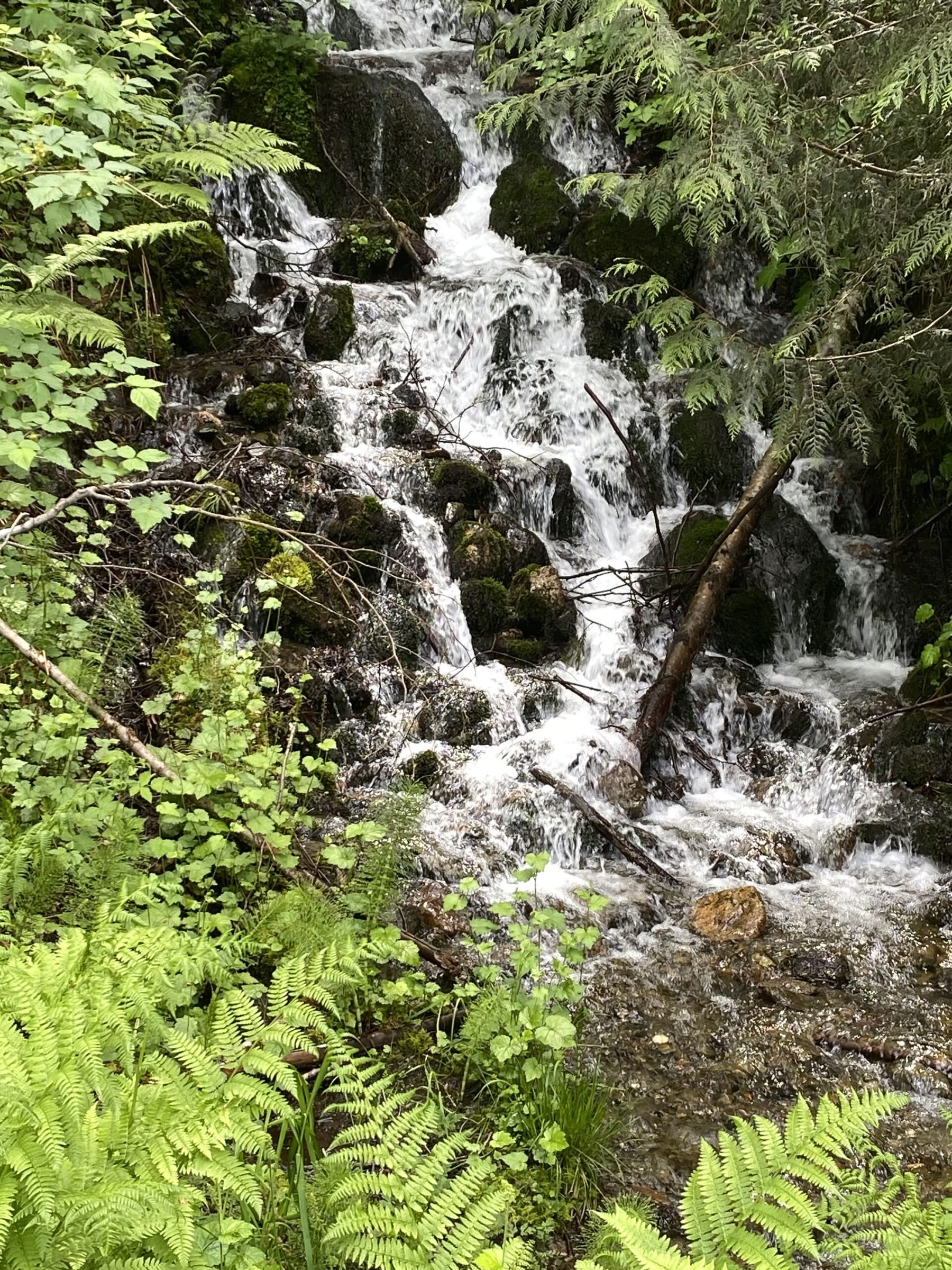 Yoga-, wandel- en healingsretreat bij Fox Creek Falls