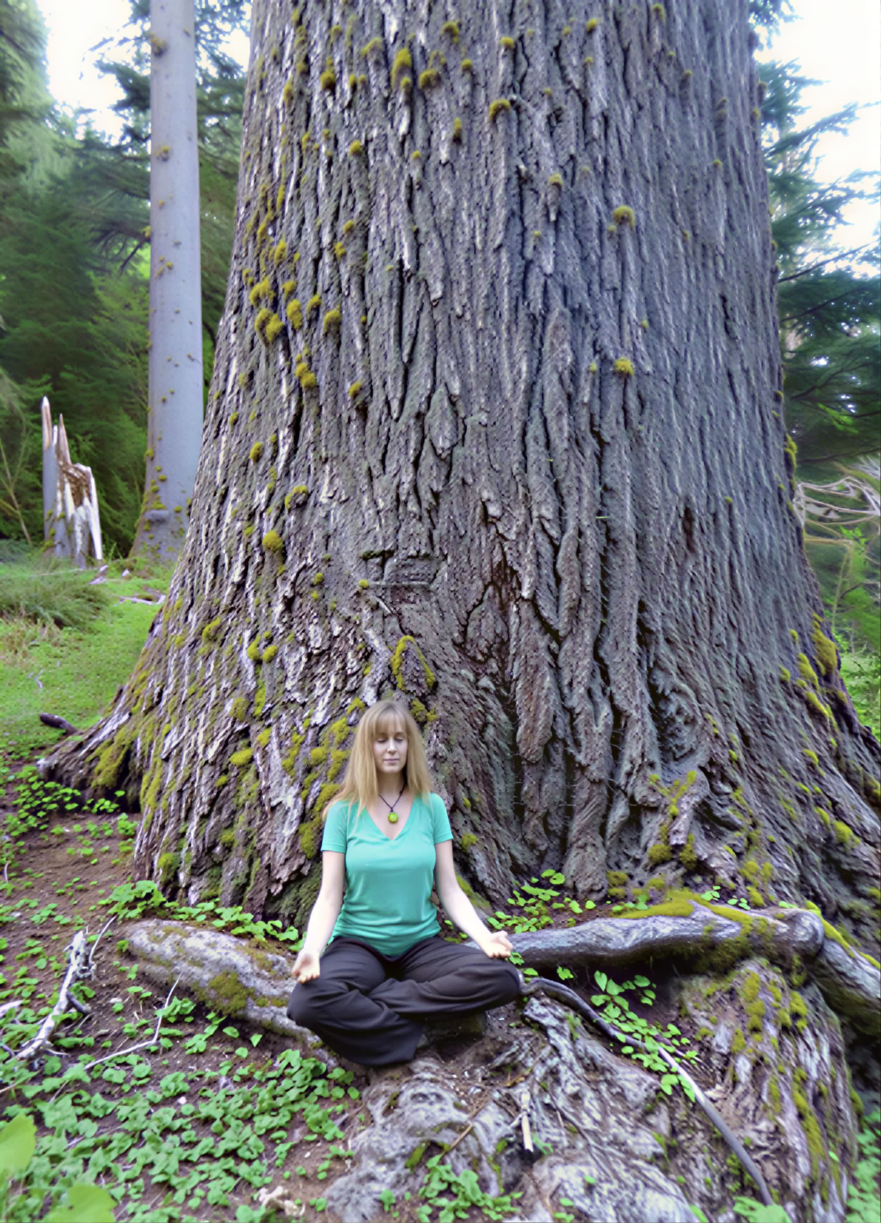 Meditatiewandelretreat bij de Cascades