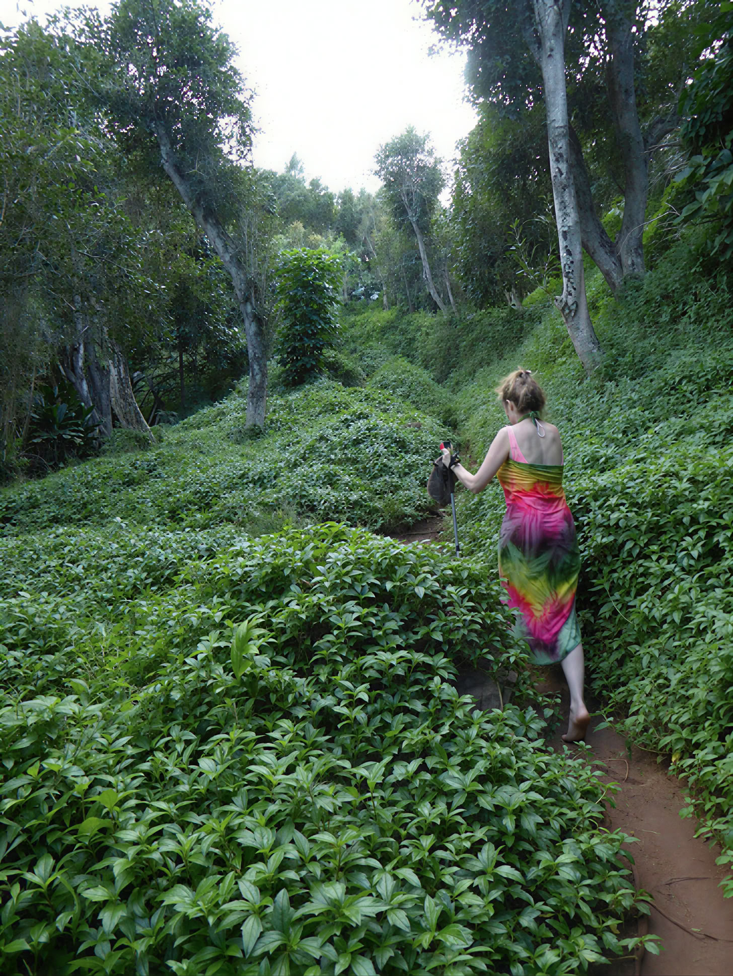 Yoga-retraite op Kauai, Hawaï