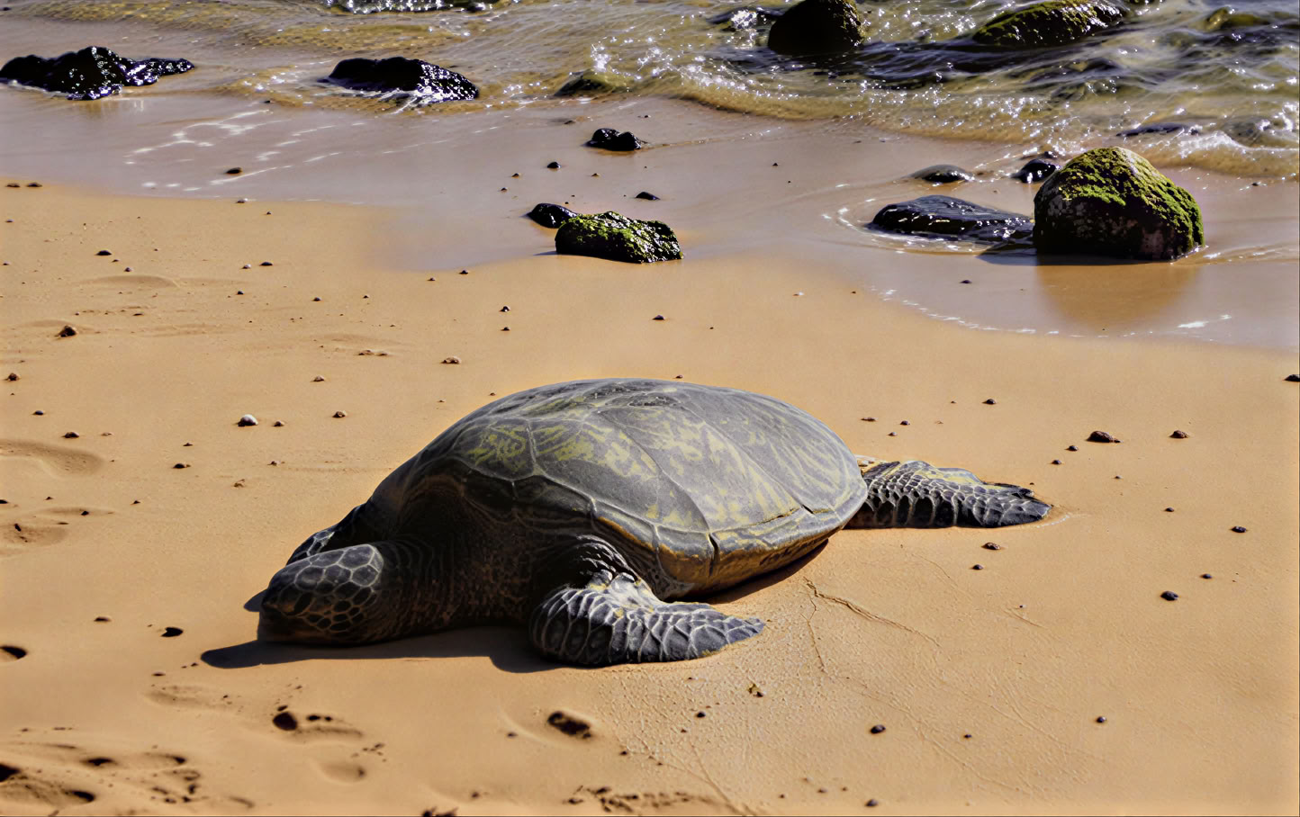 Yoga-retraite op Kauai, Hawaï