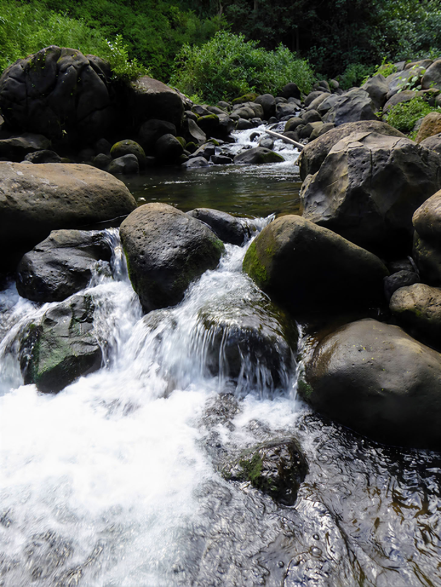 Yoga-retraite op Kauai, Hawaï
