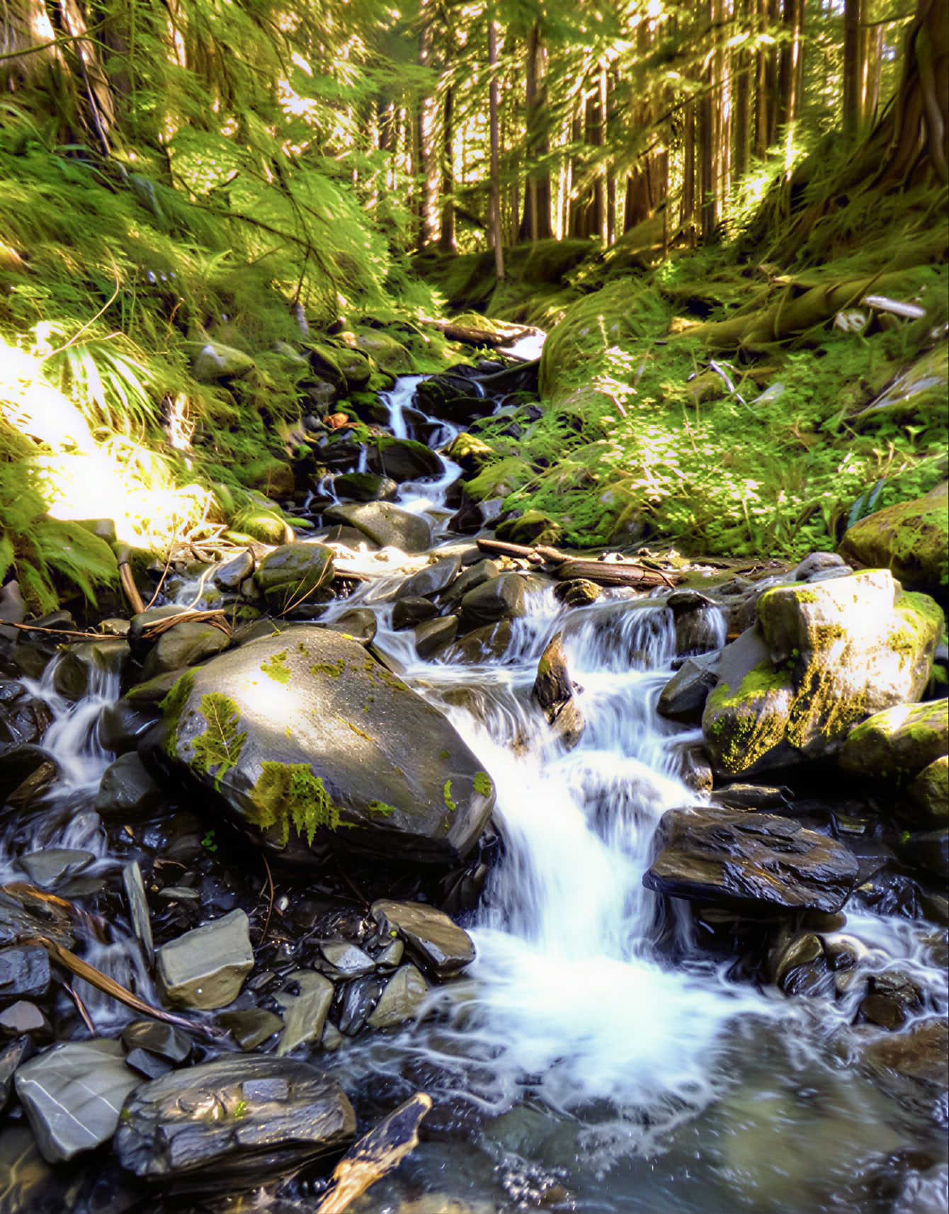 Yoga-, wandel- en pickleballretreat bij Cascades
