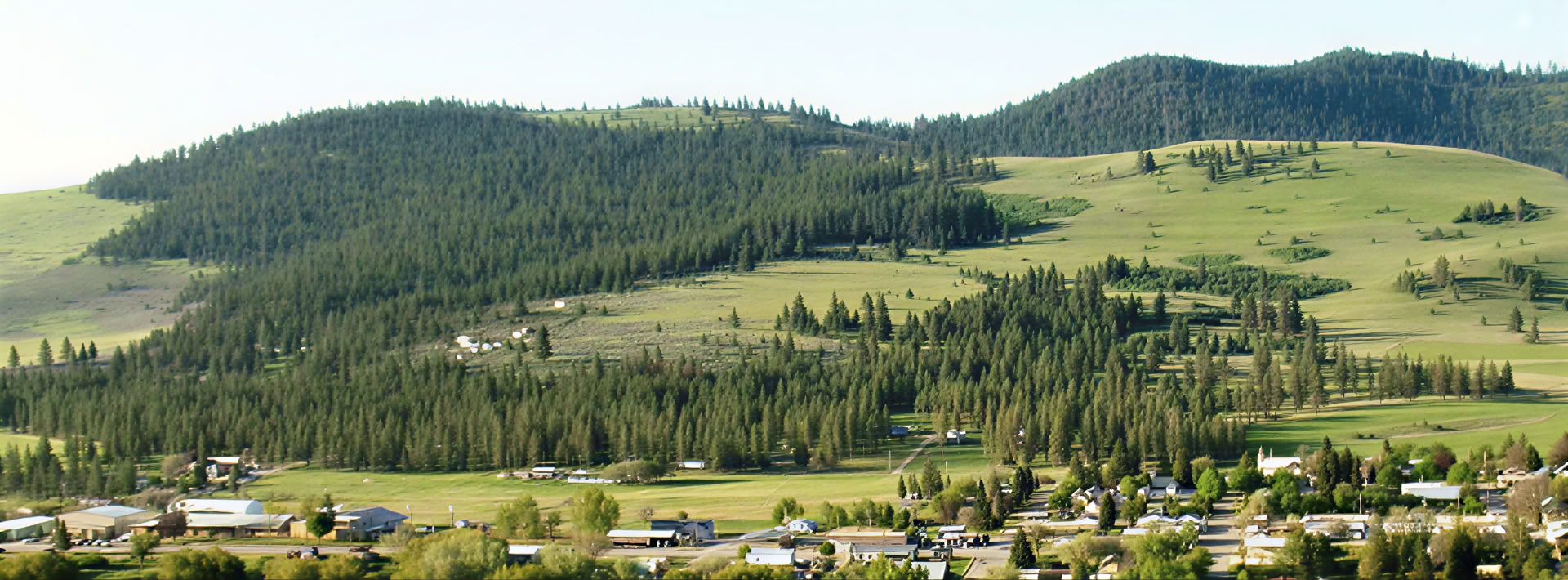 Yoga, meditatie, wandelen en bosbaden in Olympic National Park