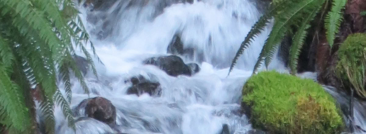 Genezingsretraite Frog Creek, WA