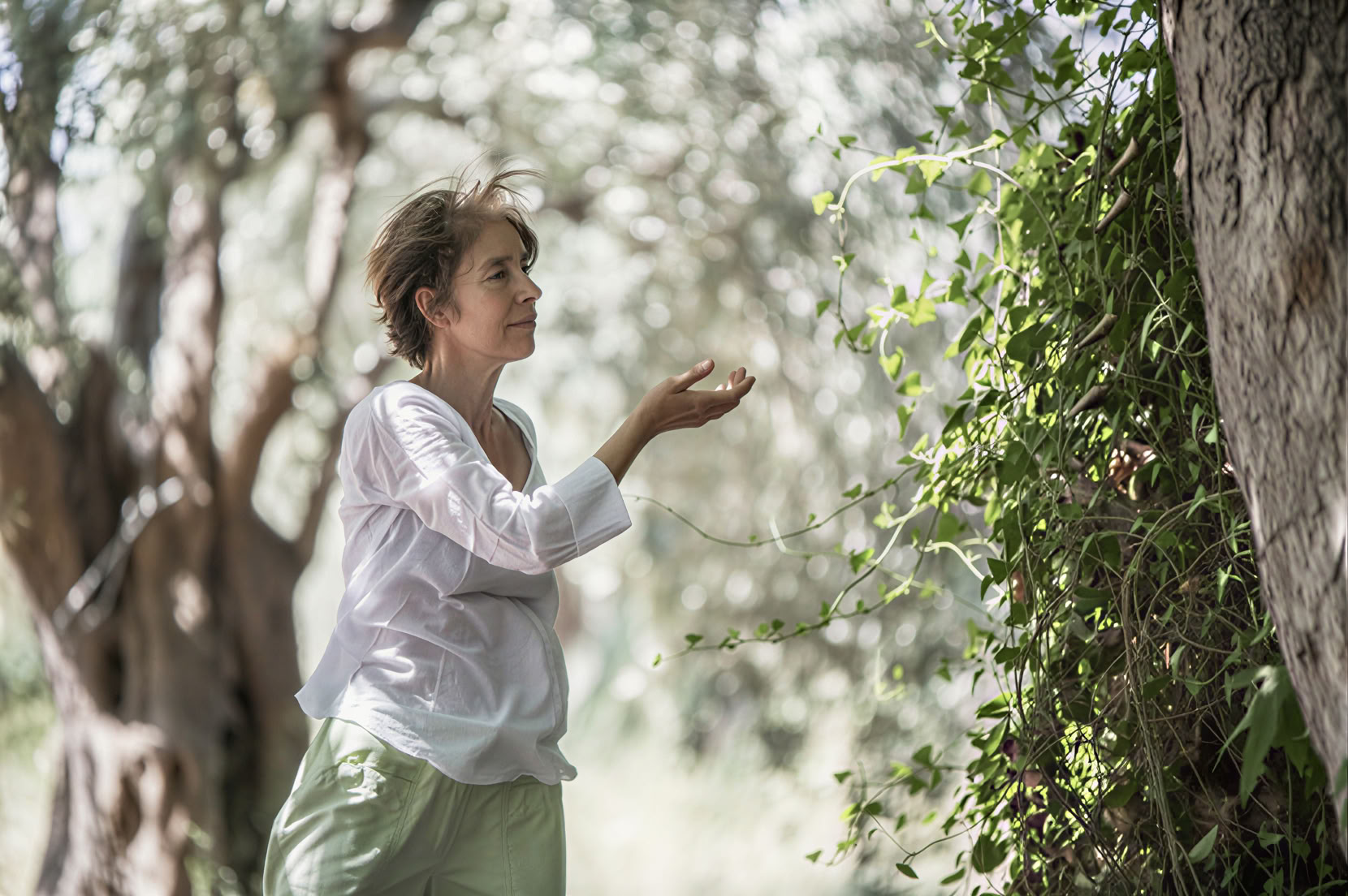 Tai Chi Qigong-retreat