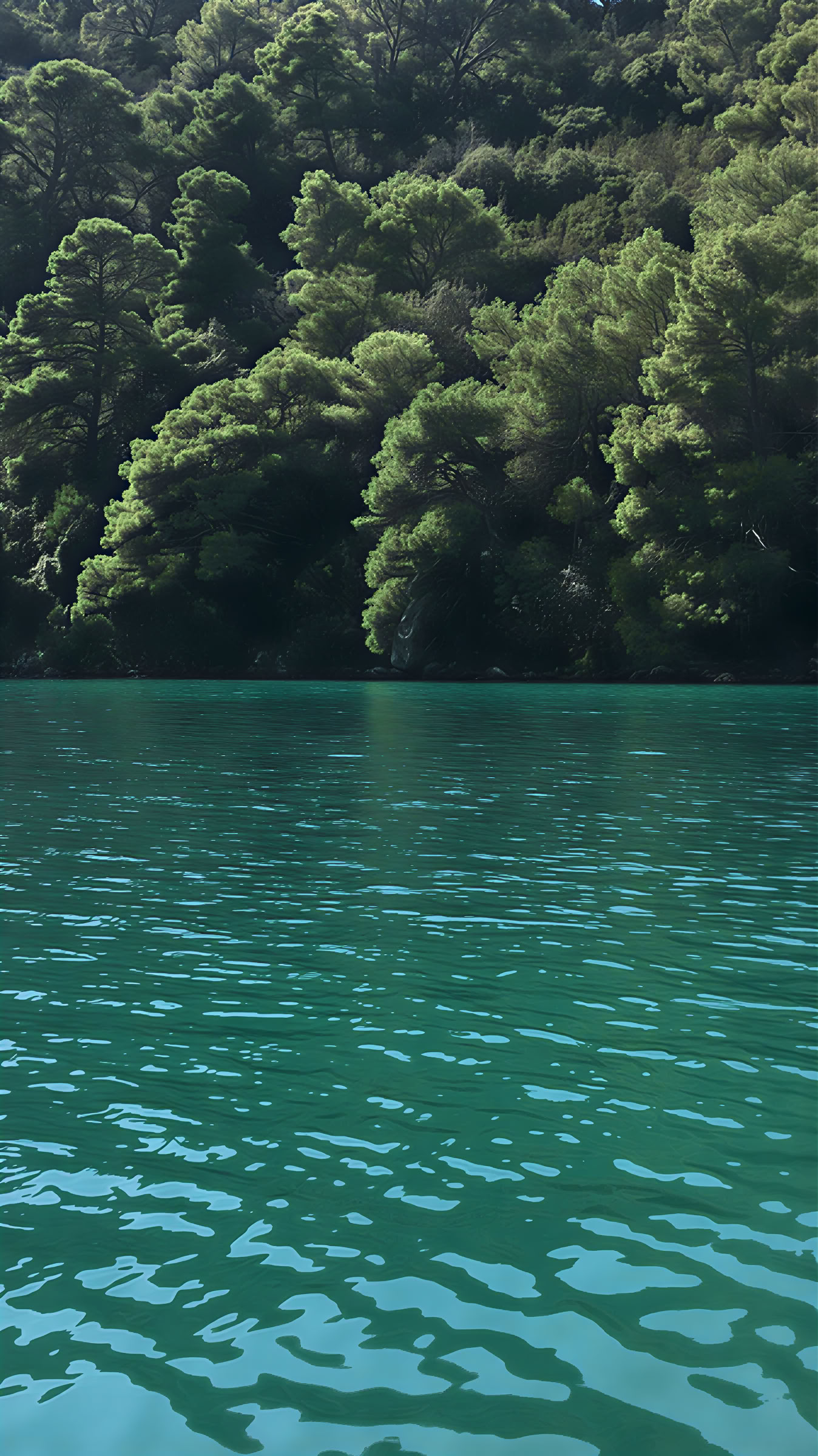 Mljet-retraite-ervaring