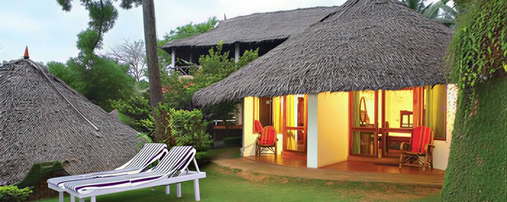 India airco-cottage, eenpersoons