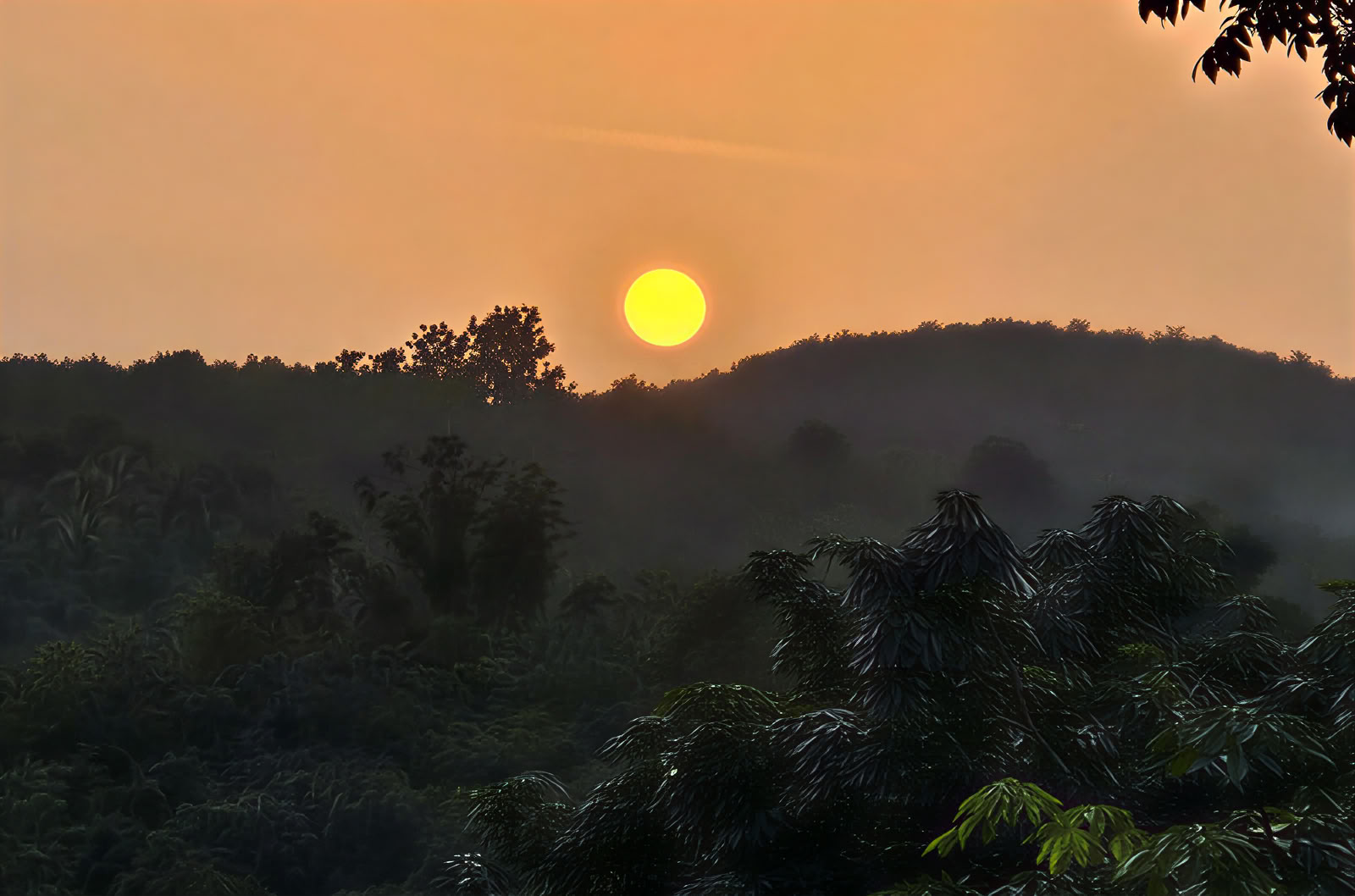 Wellnessretreat in Kerala