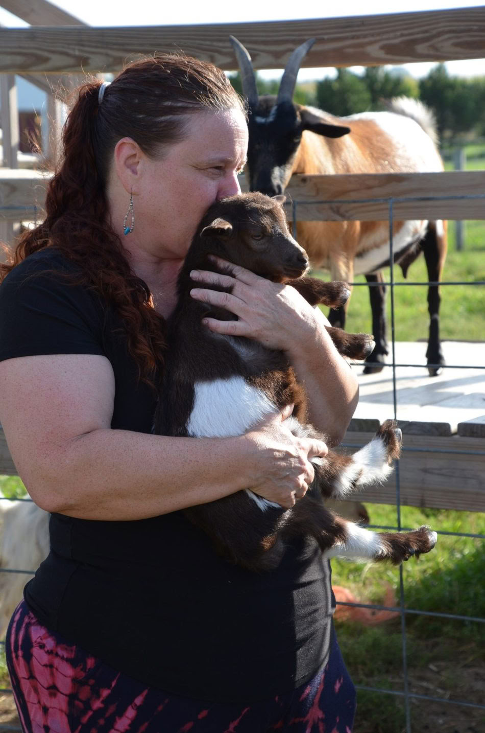 ICRT Dierenreiki I & II
