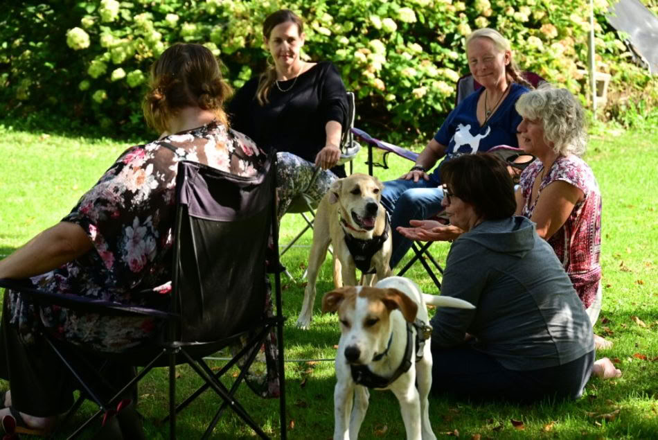 ICRT Dierenreiki I & II