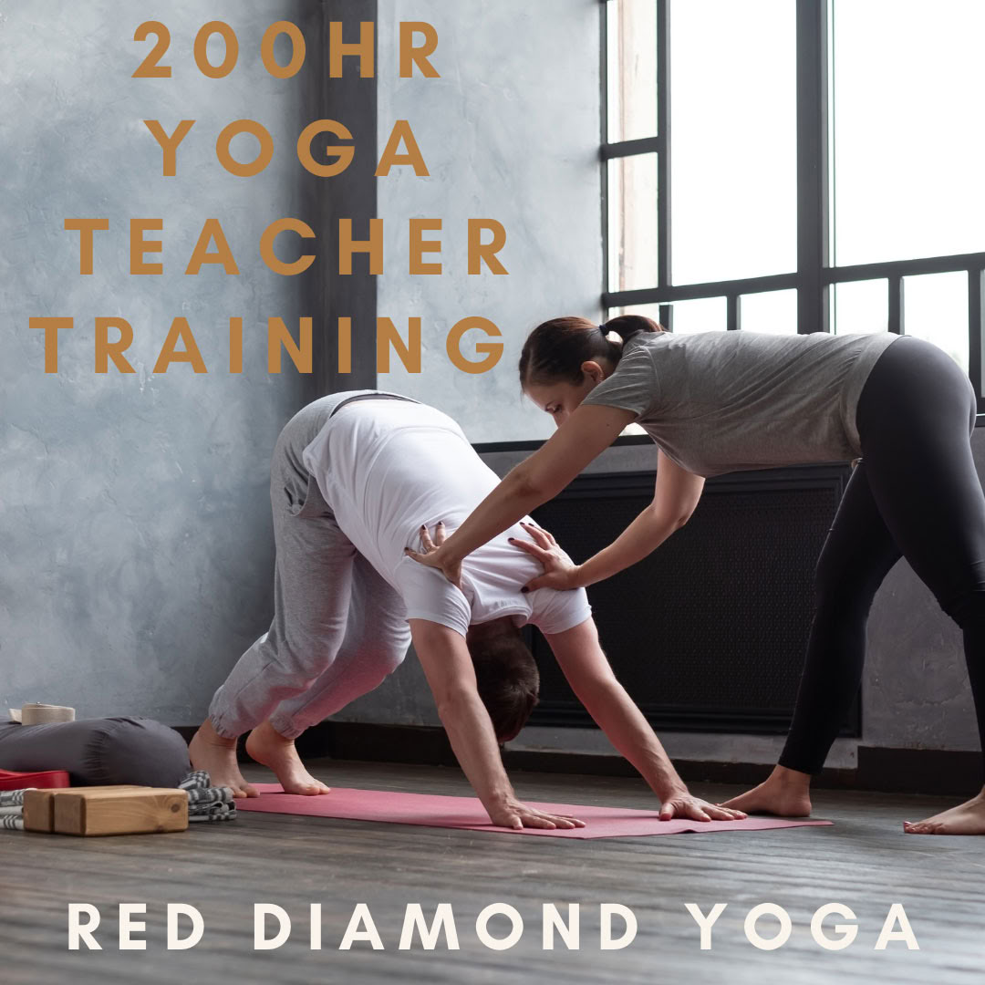 200-uurs Vinyasa Yoga Docentenopleiding, Yoga Alliance-gecertificeerd