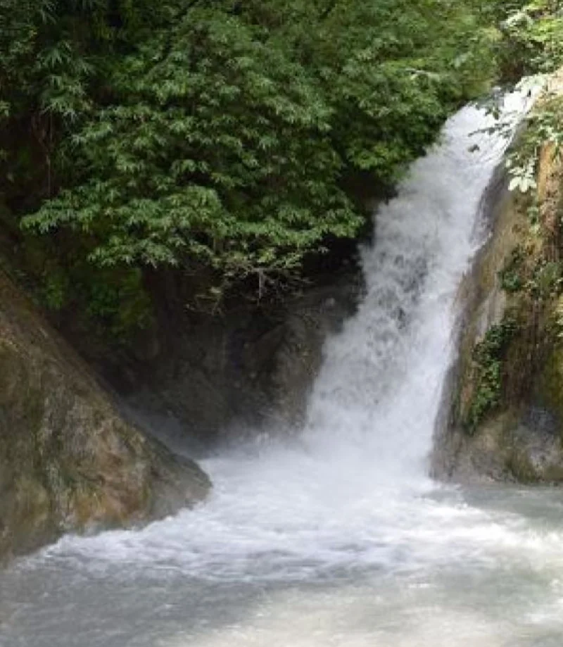 300-uurs yogalerarenopleiding in Dehradun