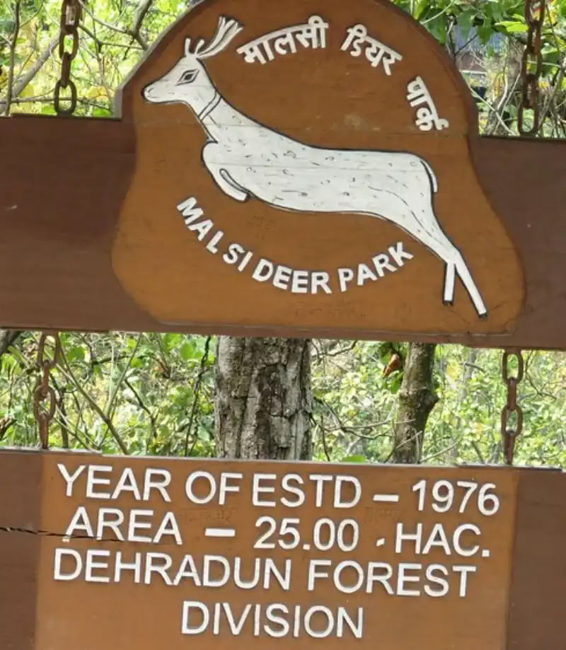 300-uurs yogalerarenopleiding in Dehradun