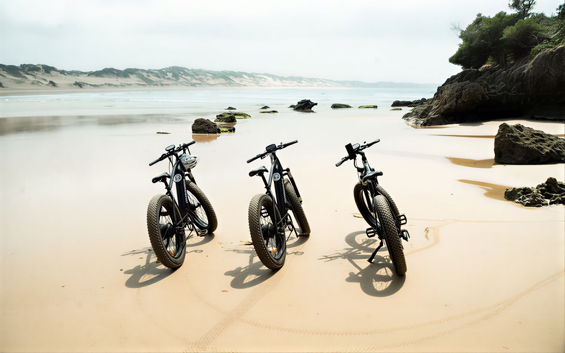 E-biketocht