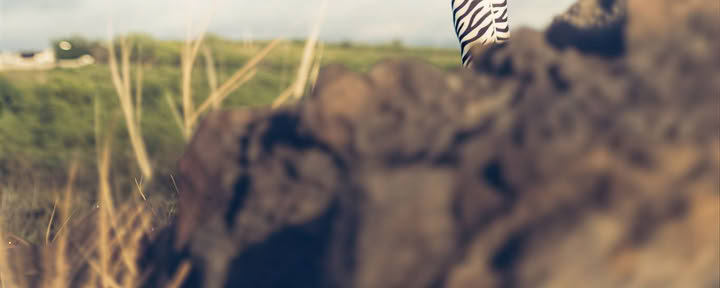4-daagse wellnessretreat met flexibele data