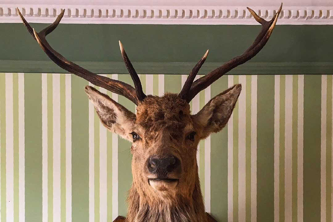 Ontspanning in Rannoch