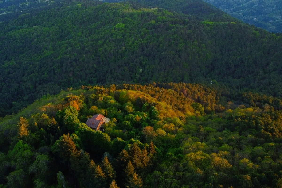200-uurs RYT · Toscane, Italië · Yoga Alliance-gecertificeerd
