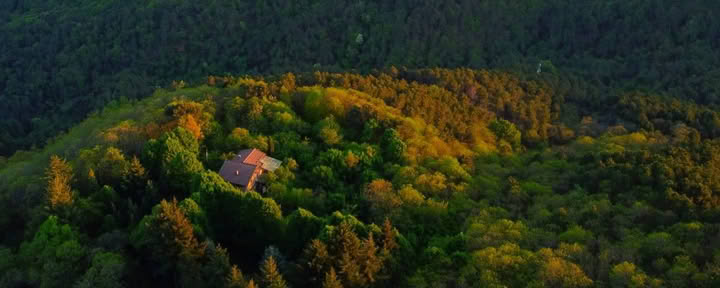 200-uurs RYT · Toscane, Italië · Yoga Alliance-gecertificeerd