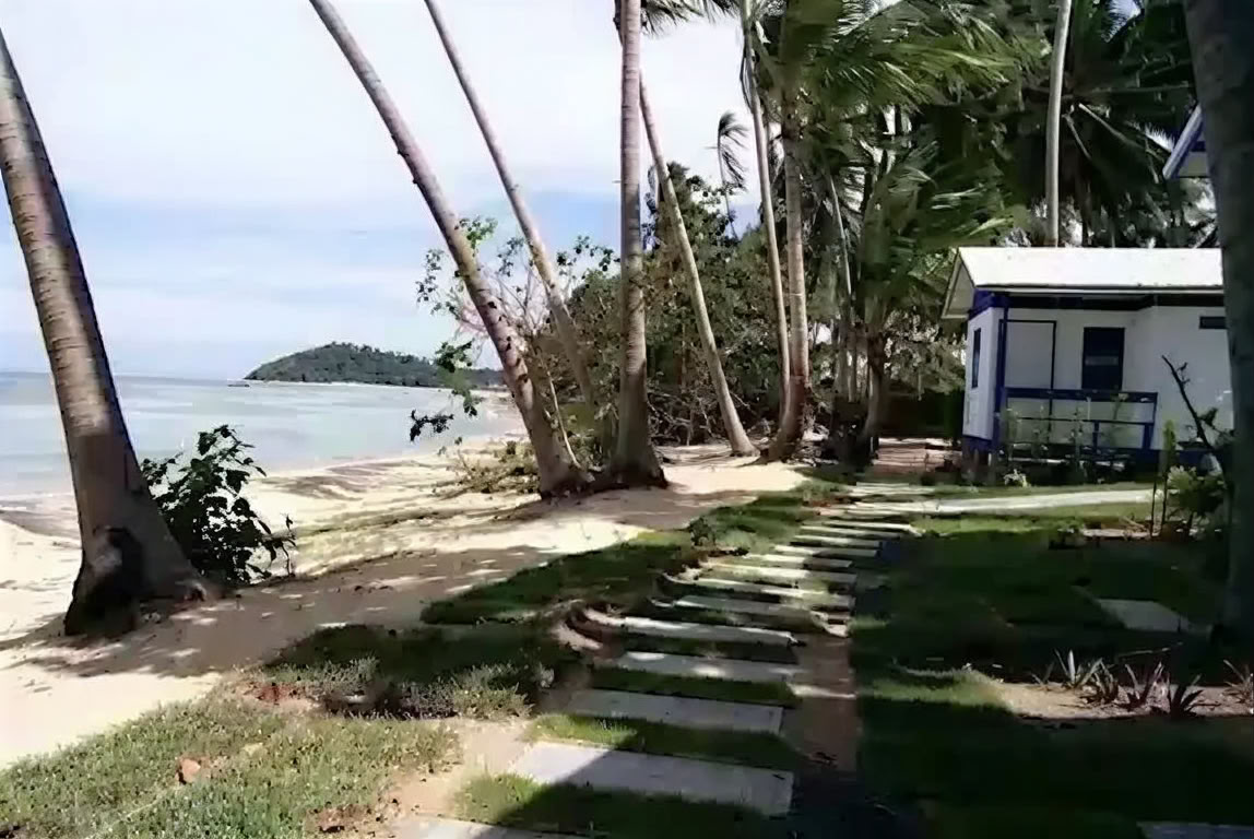 Reikisessies & Training