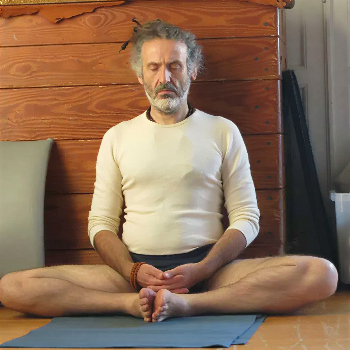 Iyengar-yogaworkshop met Christian Pisano