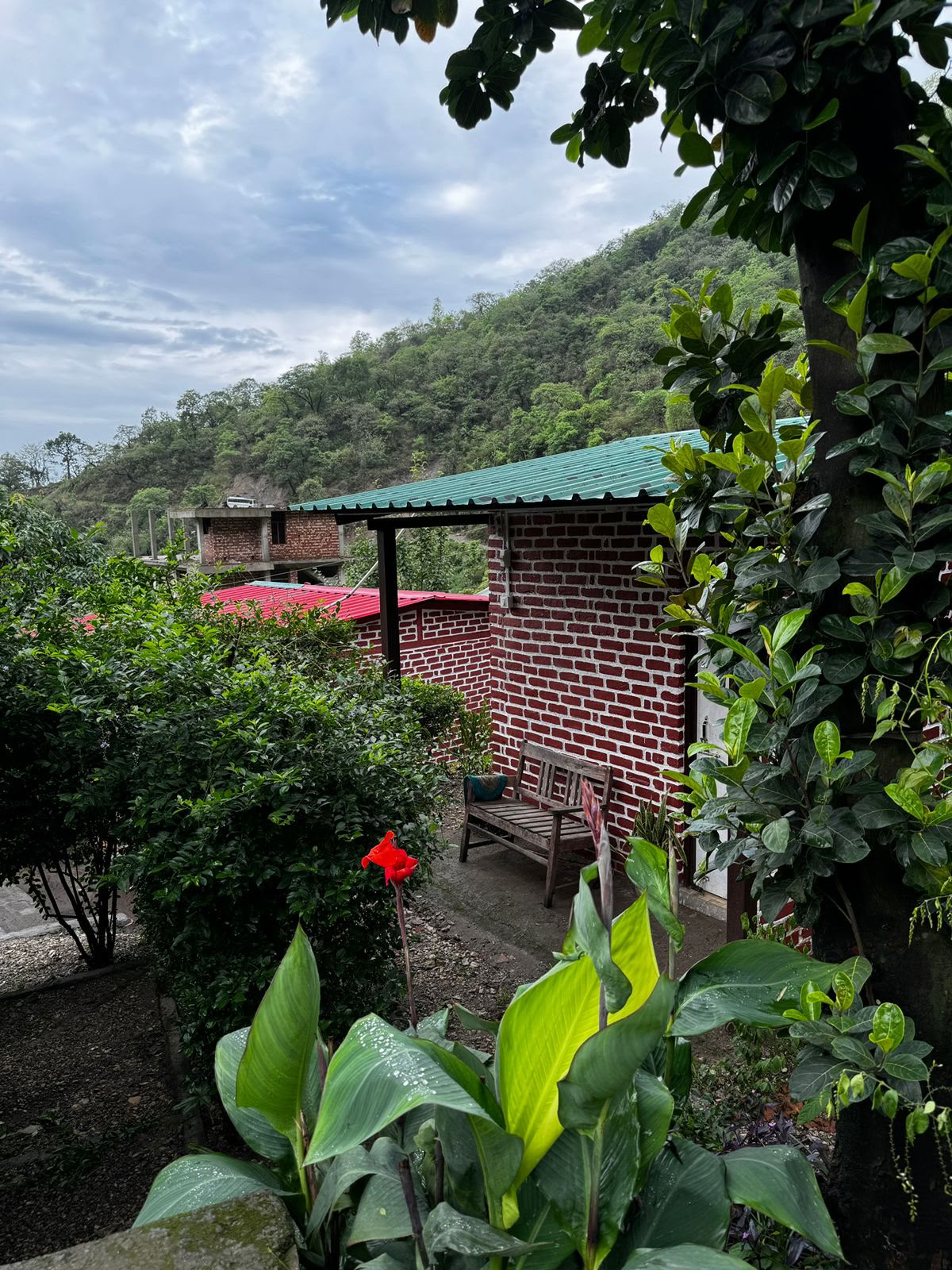 6-daagse overgave-retraite in Rishikesh