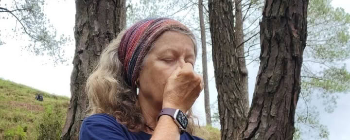 Verwilder en Herlijn: Eendaagse Mini-Retreat