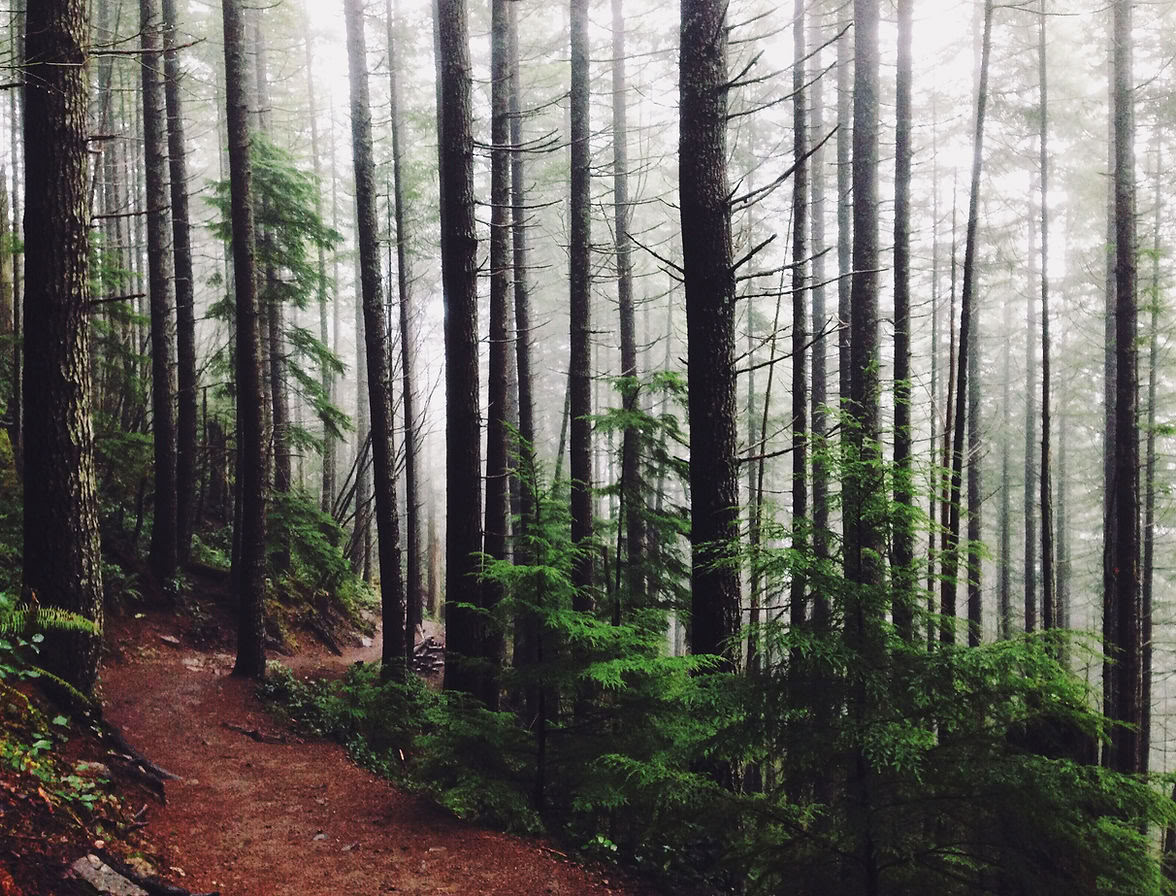 Nagarkot - Kakani