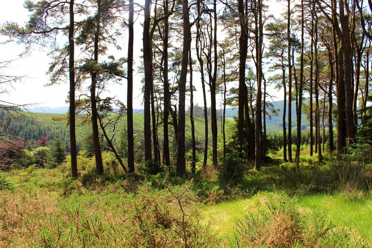 Terug naar Mucklagh - Samhain — Mucklagh Lodge