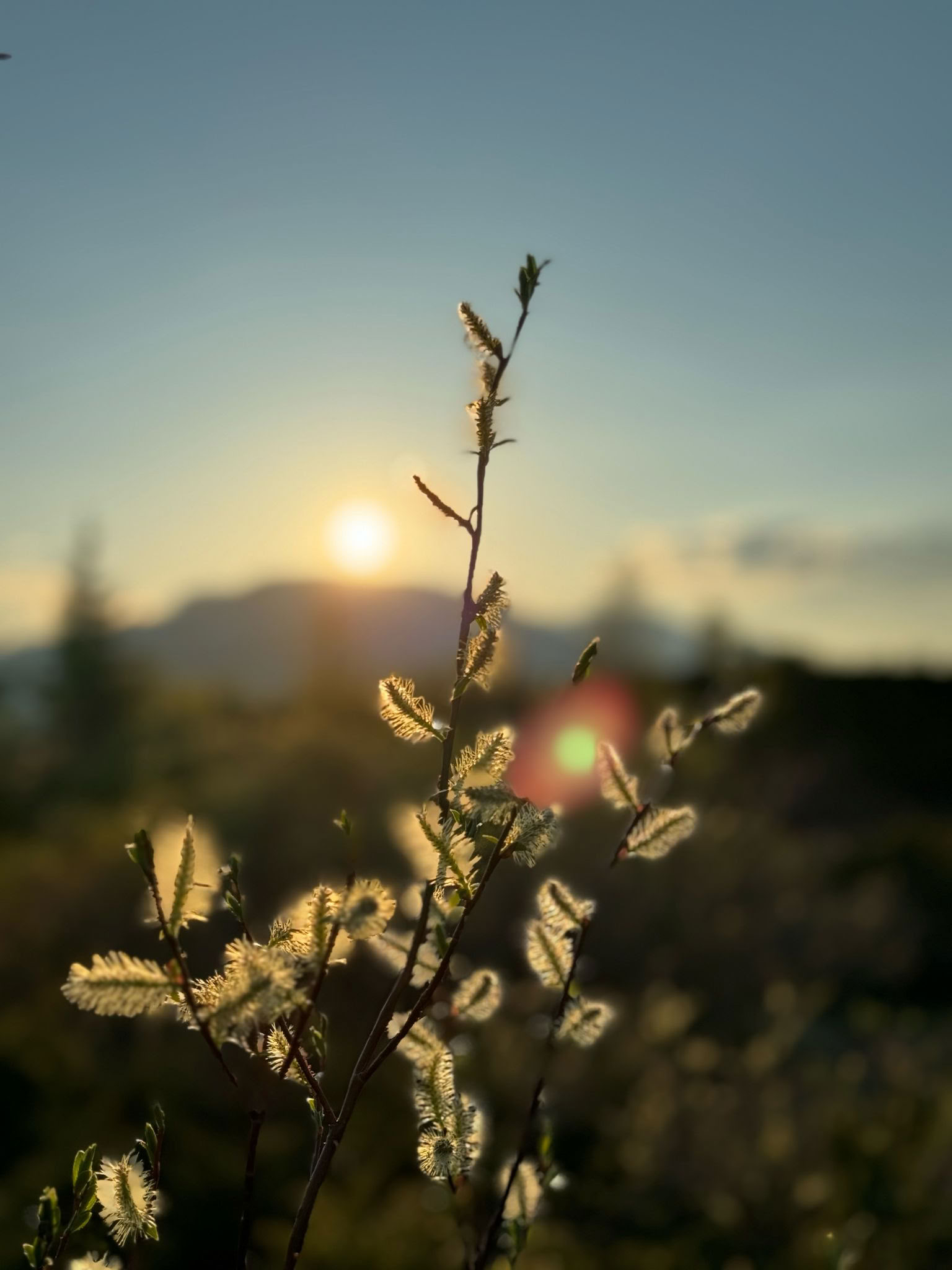 Adem van de Herfst: Een Herstellende Yogaretreat voor Stressverlichting