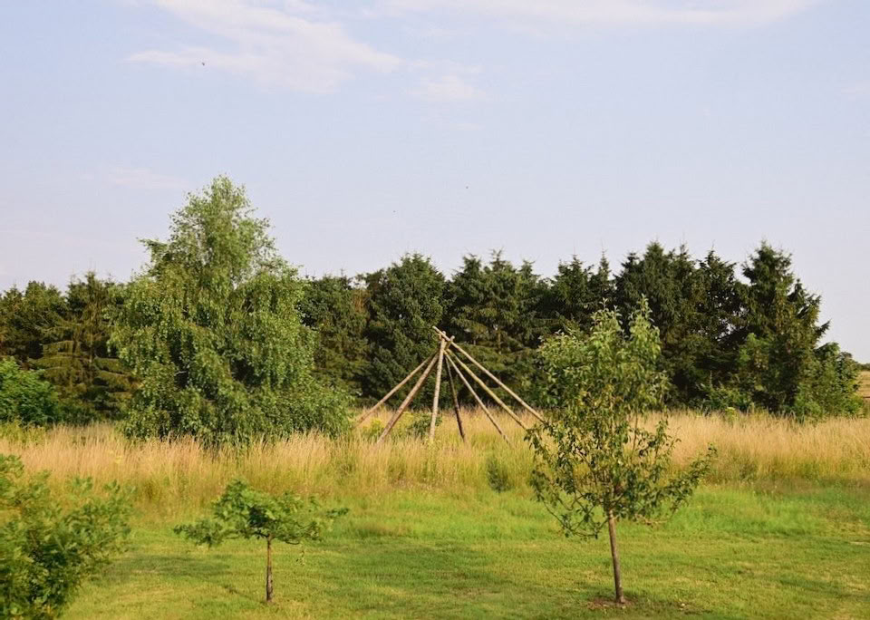 Interacties met hulp van paarden