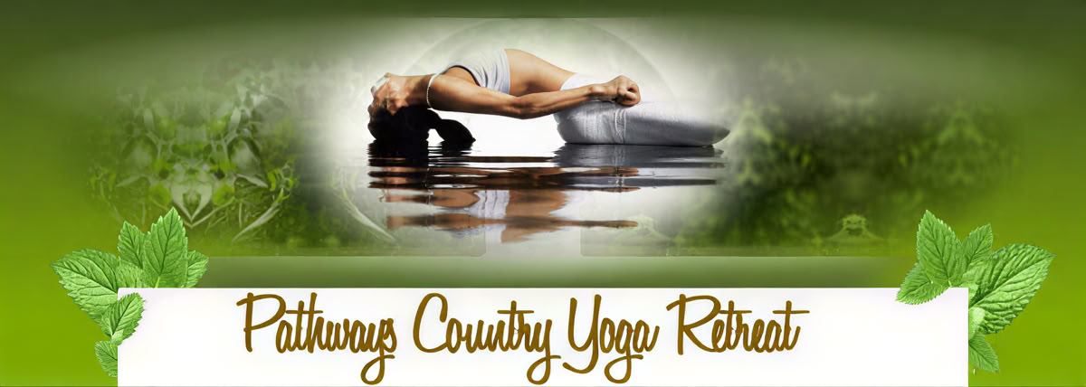 100 uur Yoga Nidra-docentenopleiding