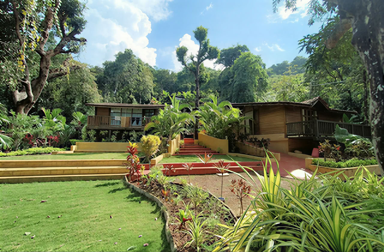 Basiscursus Ayurveda