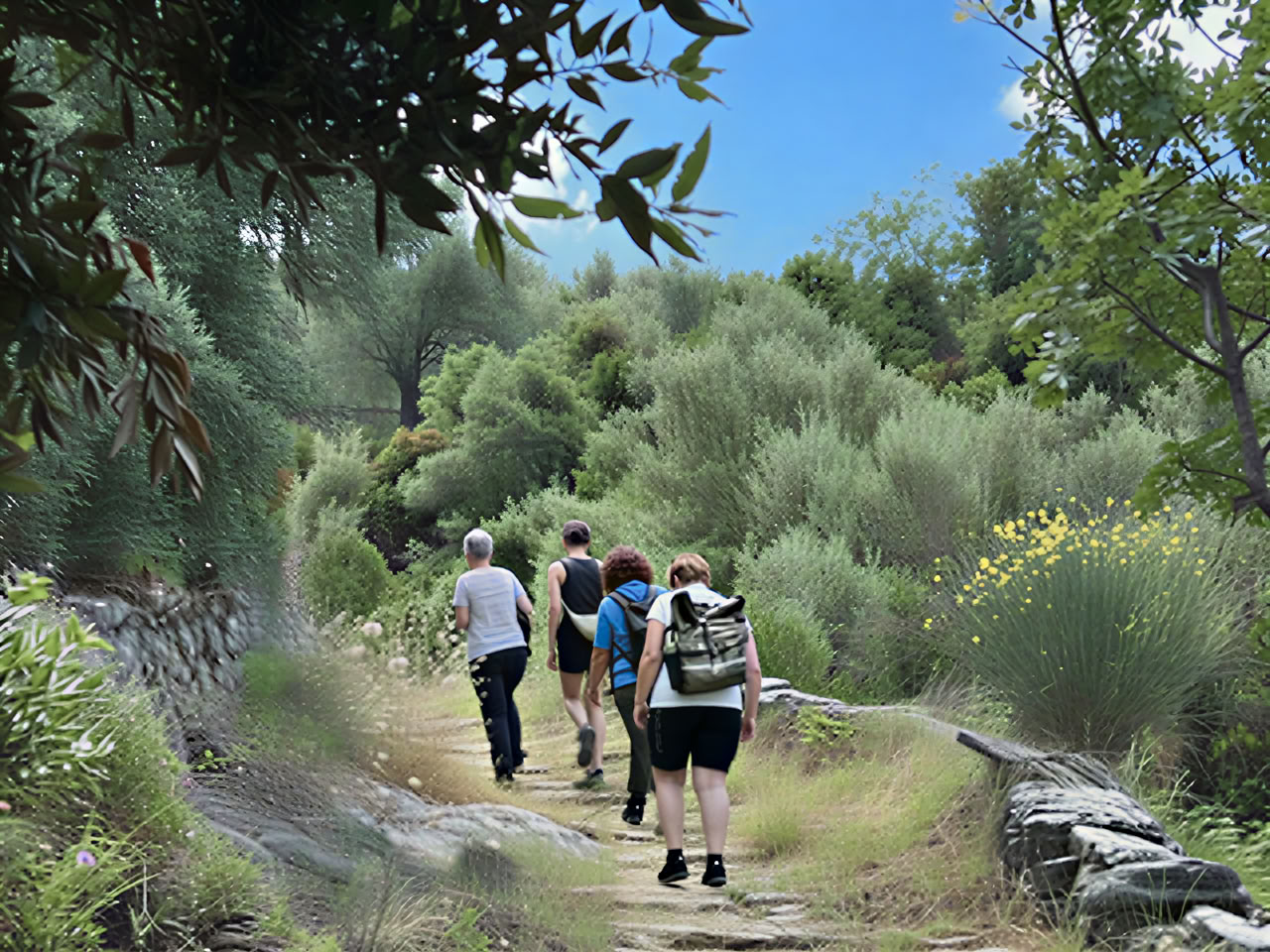 Mindful wandelen