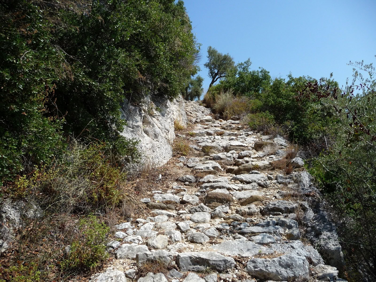 Mindful wandelen