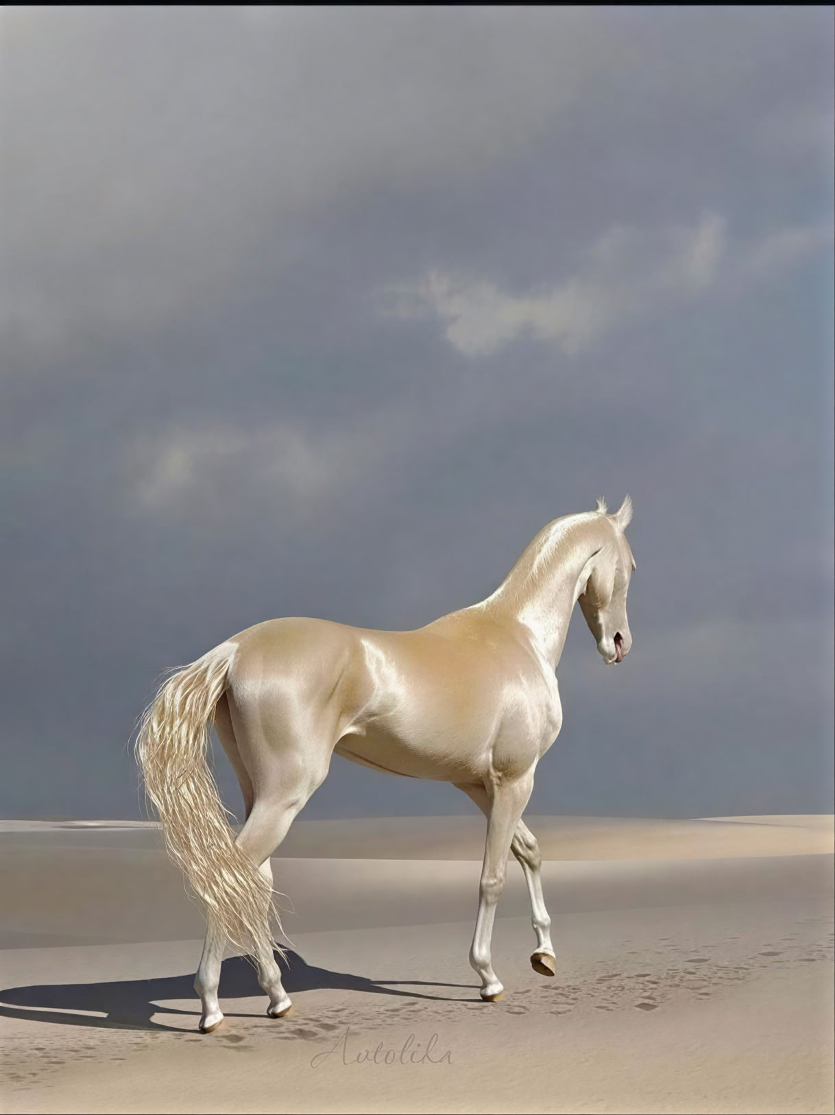 Jaar van het Paard – Oogst en Loslaten