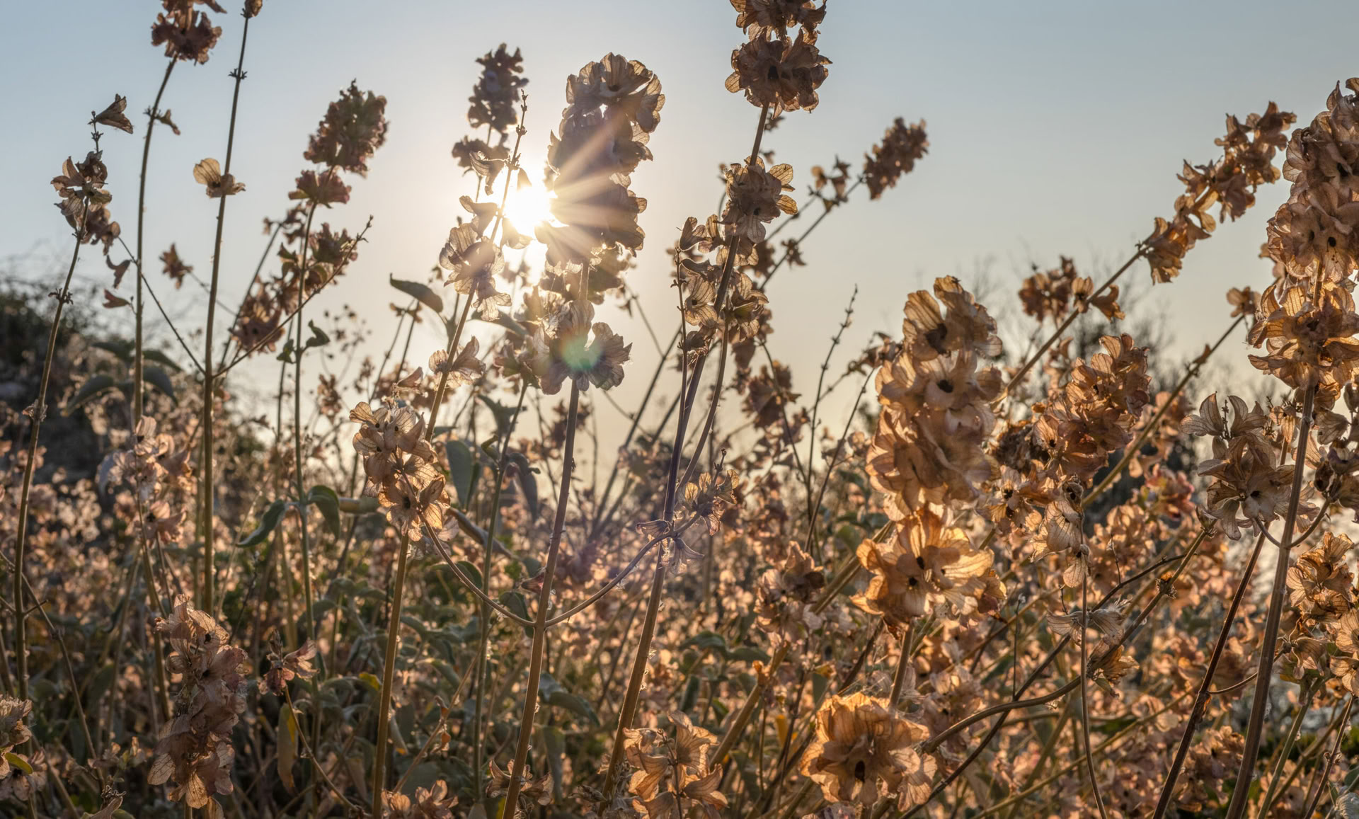 Intensieve zelfbewustzijnsweek