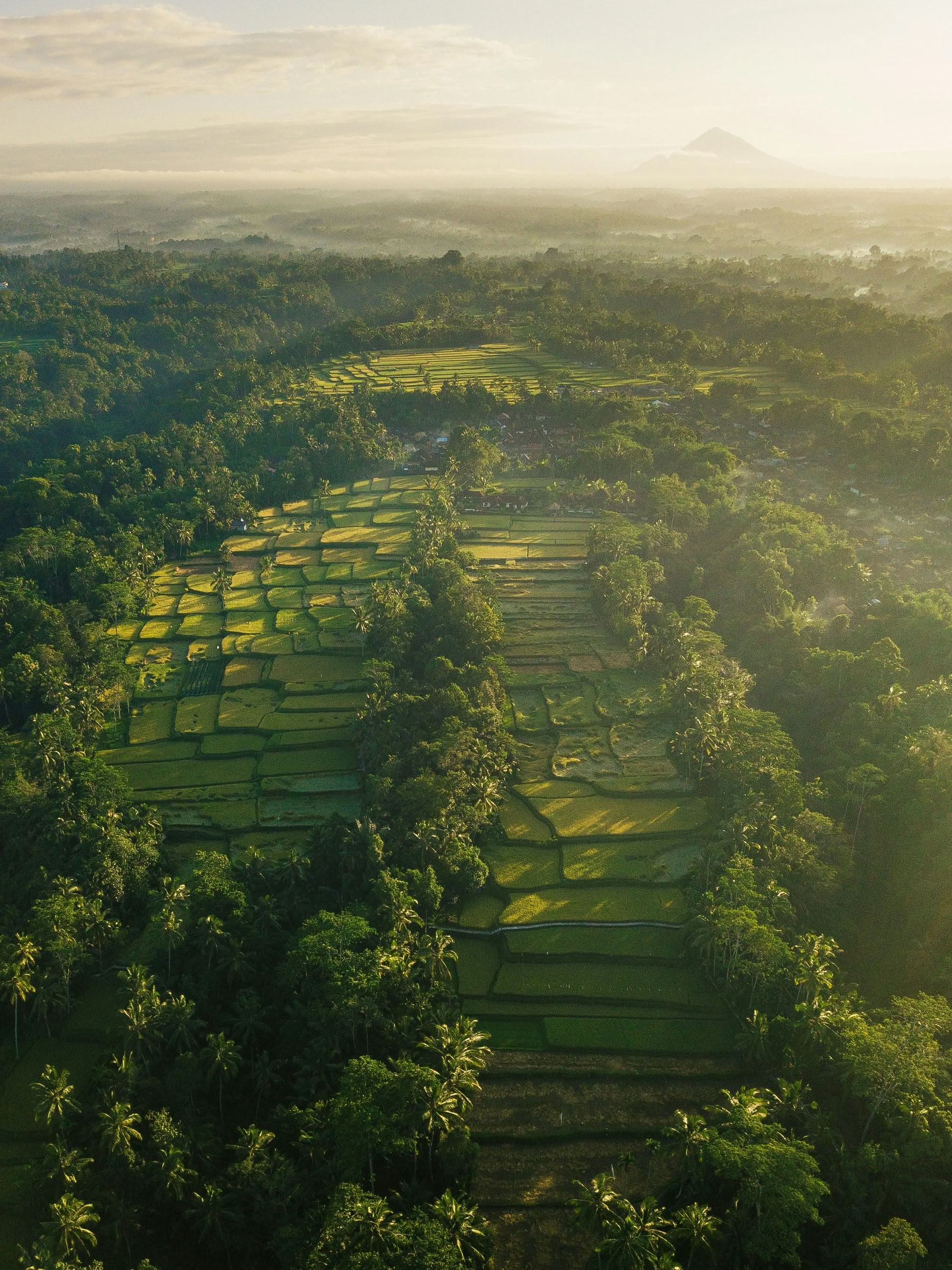 Bali buiten de gebaande paden: rustige dag in het westen