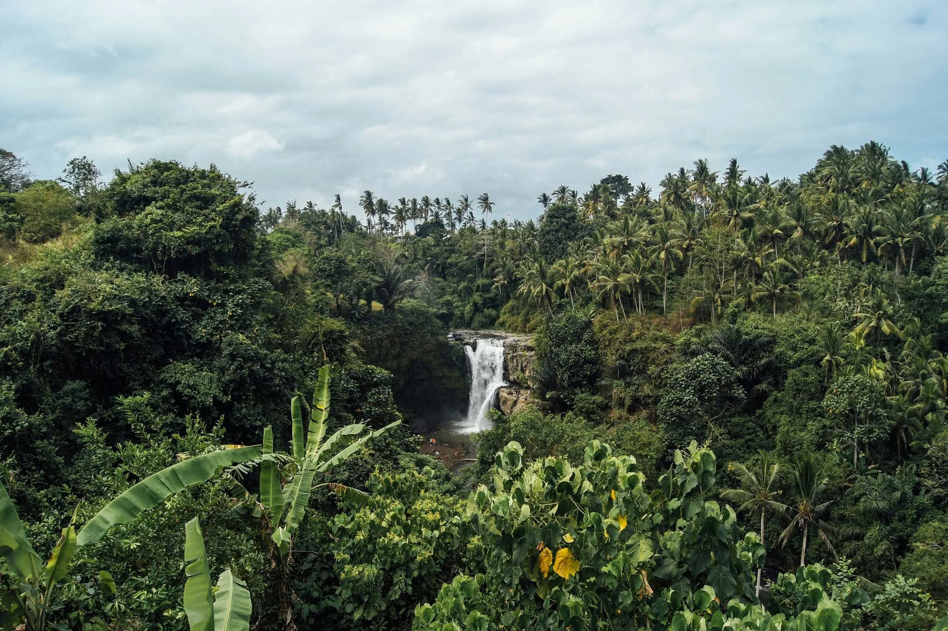 Bali buiten de gebaande paden: rustige dag in het westen