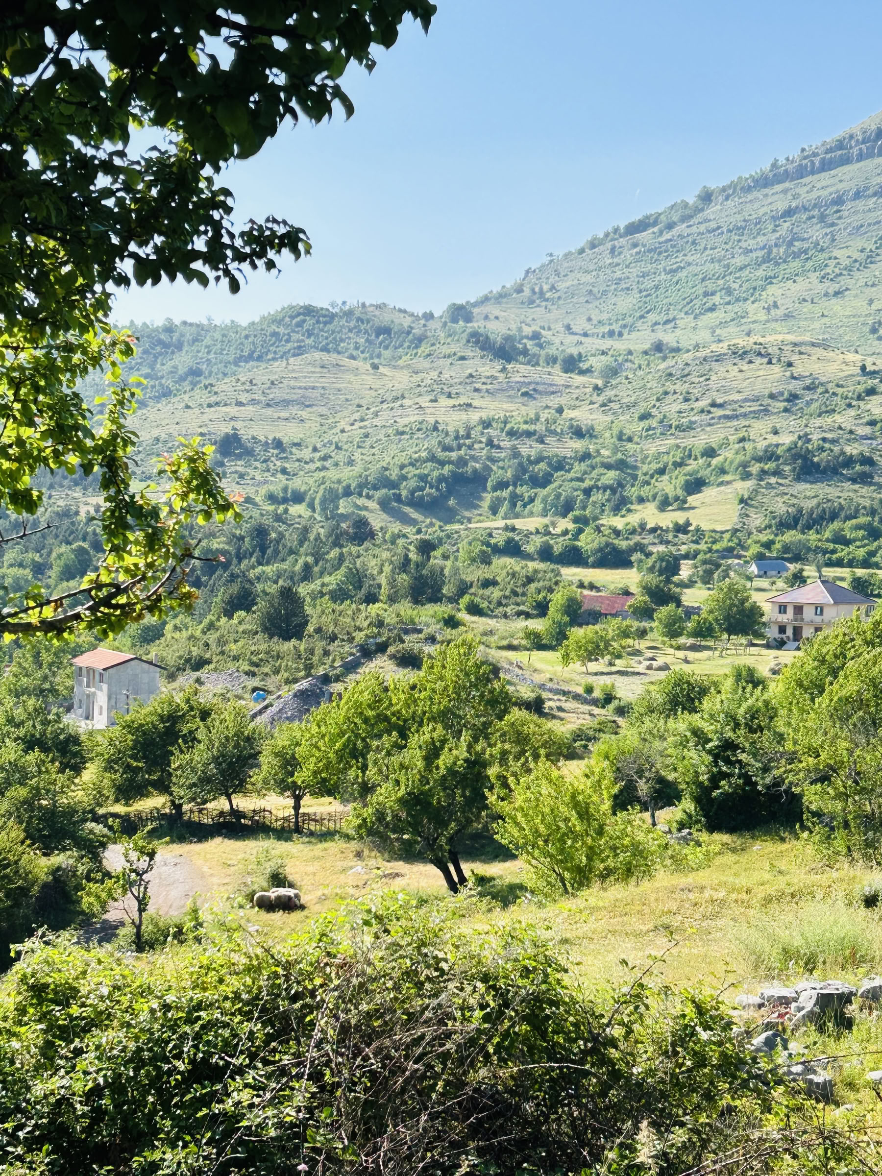 Razma Mountain Wellness-Retreat voor Lichaam-Geest-Harmonie